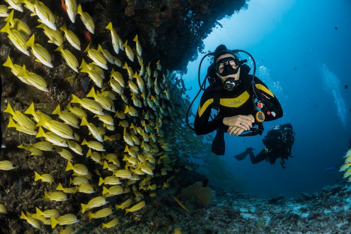 Snorkeler over a reef at Los Arcos